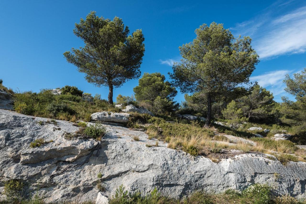 Hotel Mas Vidau Porte Des Alpilles Saint-Étienne-du-Grès Eksteriør bilde